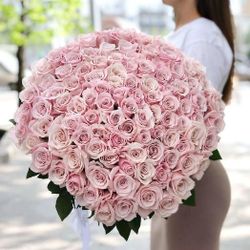 Букет из 101 светло розовой розы 70-80 см