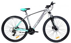 купить Велосипед Crosser X880 29" 19 21S Shimano+Logan Hidraulic Grey/Green в Кишинёве 