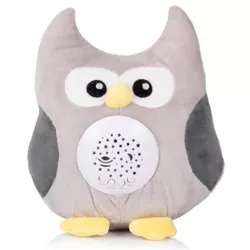 cumpără Jucărie de pluș Chipolino Little Owl PIL02513LOWL (проектор муз) în Chișinău 