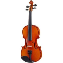 купить Скрипка Fidelio Student Violin Set ½ в Кишинёве 