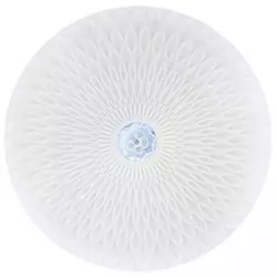 cumpără Corp de iluminat interior Horoz RADIUS, 36W (027-012-0036) în Chișinău 