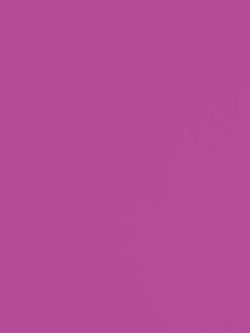 Фон Бумажный Creativity Graund   2,72 х 11,0 м Grape 111276