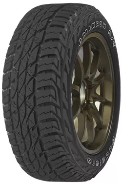 cumpără Anvelopă Accelera 265/50 R20 111S OMIKRON AT în Chișinău 