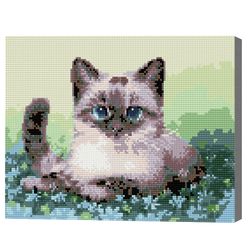 Сиамская кошка, 30x40 см, алмазная мозаика QS200364