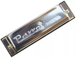 cumpără Instrument muzical de suflat Parrot HD 10 muzicuta în Chișinău 