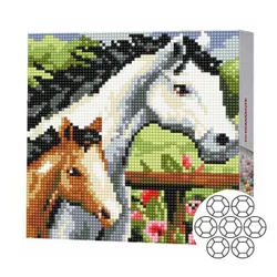 купить Картина по номерам Art Gallery BJ483 Mozaic cu diamante 20x20cm Cal si manz в Кишинёве 