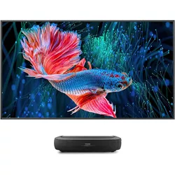 cumpără Proiector Hisense 100L9HD în Chișinău 