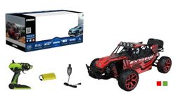 купить Радиоуправляемая игрушка Richi (69282) Masina de viteze R/C cu încărcător в Кишинёве 