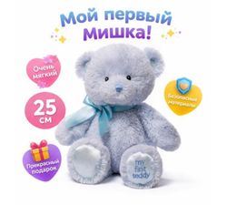 купить Мягкая игрушка Baby Gund 6055511 My 1st Teddy Blue 25cm в Кишинёве 