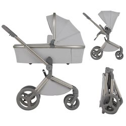 купить Детская коляска Anex FL-06 Carucior 2in1 Flo Frossy в Кишинёве 