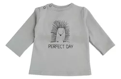 купить Детская одежда Minikin 242290380 Hedgehog Лонгслив серый 9-12мес в Кишинёве 