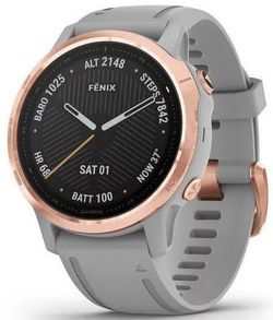 cumpără Ceas inteligent Garmin fenix 6S Sapphire,Rose Gold w/Gray Band în Chișinău