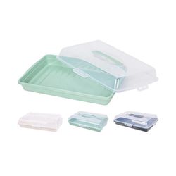 купить Контейнер для хранения пищи Excellent Houseware 55523 Recipient pentru produse de patiserie 45x31x10cm в Кишинёве 