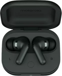 купить Наушники беспроводные Motorola MotoBuds+ Darkest Spruce в Кишинёве 