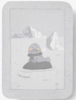 купить Детское постельное белье Kikka Boo 31103020155 Paturica super moale Seally Me, 80/110 cm в Кишинёве 