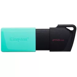 cumpără USB flash memorie Kingston DTXS/256GB în Chișinău 