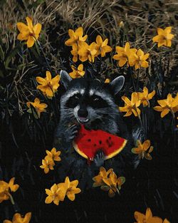 35781