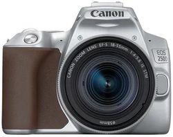 DC Canon EOS 250D & EF-S 18-55mm f/3.5-5.6 IS STM KIT - Silver