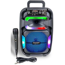 cumpără Giga sistem audio Bontempi 491030 Set karaoke cu microfon, lumina si display, cod 60497 în Chișinău 