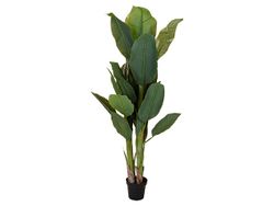 Planta artificiala "Bananier" 165cm, in ghiveci