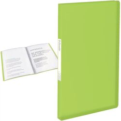 купить Папка для документов Esselte 623994 Mapa cu folii A4, 20 folii, verde в Кишинёве 