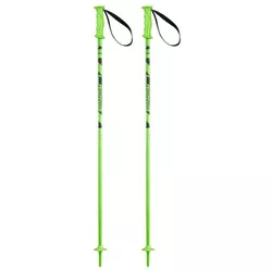 купить Лыжные палки Elan Rock Rod JR green 095 (CD813121) в Кишинёве 