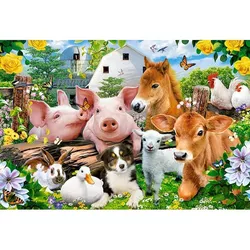 купить Головоломка Castorland Puzzle B-040339 Puzzle Maxi 40 в Кишинёве 