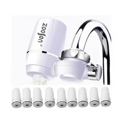 cumpără Filtru de curgere pentru apă MPN 24400 Filtru de apa dublu 10", inox, cu robinet în Chișinău 