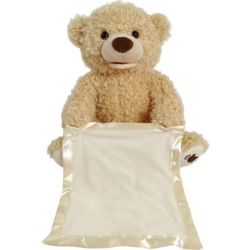 cumpără Jucărie de pluș ToyMall 009023 Ursulet Ro/Eng în Chișinău 