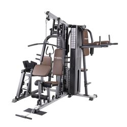 Мультистанция Profigym C300 20764 (5670)  inSPORTline