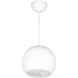 купить Колонки Hi-Fi DSPPA DSP107 Pendant sound projector в Кишинёве 