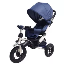 купить Велосипед-коляска Richi RT688 / 3 albastru в Кишинёве 