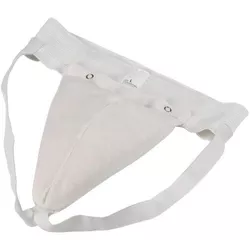 купить Защитное снаряжение Arena ракушка паховая A1432 L в Кишинёве 