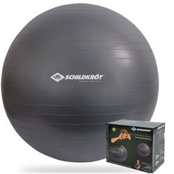 купить Мяч Donic SL-00013825 Minge gimnastica cu pompa d=85cm Schildkrot 960158 в Кишинёве 