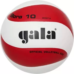 cumpără Minge Gala 140 Minge volei 5671/ 5675 Bora în Chișinău 