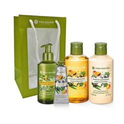 LES PLAISIRS NATURE - Set îngrijirea corpului Mango & Coriandru