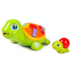 купить Музыкальная игрушка Hola Toys R41A /24 (868) broasca testoasa interactiva (86884)(12K)(G4) в Кишинёве 