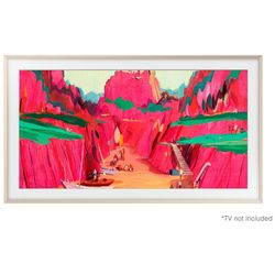 купить Аксессуар для телевизора Samsung VG-SCFF65SGMRU в Кишинёве 