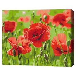 купить Картина по номерам BrushMe BS53703FC 40х50 cm (fără cutie) Maci roșii в Кишинёве 
