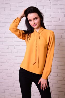 Блузка Simona ID 1011