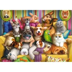 купить Головоломка Castorland Puzzle B-070176 Puzzle Midi 70 в Кишинёве 