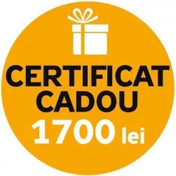купить Сертификат подарочный Maximum Подарочный сертификат 1700 леев в Кишинёве 