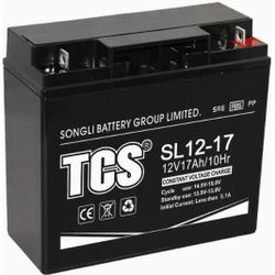 купить Зарядные устройства и аккумуляторы TCS SL12-17 в Кишинёве 