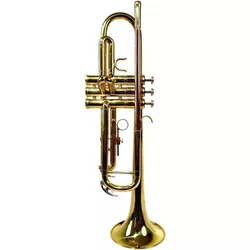 cumpără Instrument muzical de suflat Clifton Trompeta, 400335 în Chișinău 
