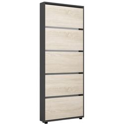 купить Полка для обуви Mobildor-Lux Leo Slim 100x16x203H cm Anthracite/Sonoma в Кишинёве 