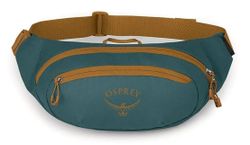 купить Поясная сумка Osprey Daylite Waist torrent blue hip (810165743335) в Кишинёве 