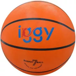 купить Мяч Iggy IGBB-BASIC minge baschet в Кишинёве 