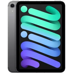 купить Планшетный компьютер Apple iPad mini 7 2024 Wi-Fi + Cellular 512GB Space Grey MYHC3 в Кишинёве 
