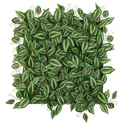 купить Искусственная изгородь Tenax 15005 Tradescantia 50x50cm в Кишинёве 