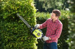 Кусторез бензиновый Ryobi RHT25X55R